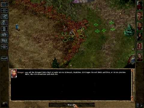 Let's Play Baldur's Gate Trilogy (German) - #46 - Nashkell Jahrmarkt 1