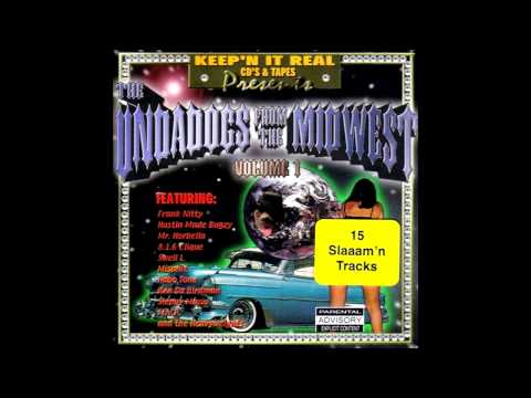 The Undadogs From The Midwest Volume 1
