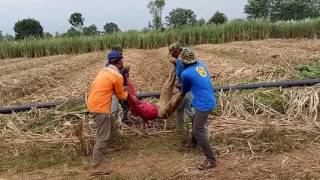 Download lagu Endeh ulang tahun mp3