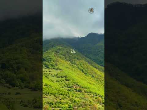 Սարերի հովին մեռնեմ…💚