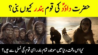 Why Did Dawood AS Ummah Become Monkeys?  حضرت 