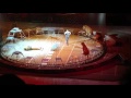 Ringling Bros Big Cats