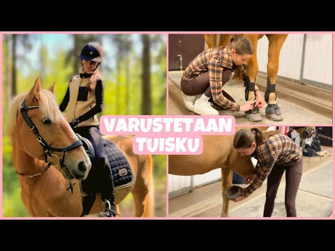 Kuinka varustaa hevonen?
