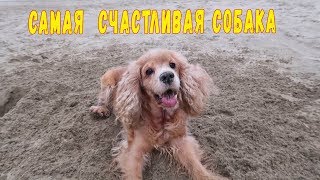 Первые признаки весны в Краснодаре ? Что Мику делает счастливой ?