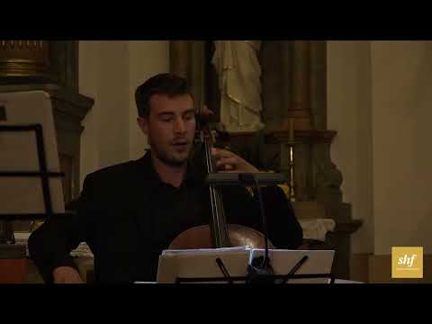 Giovanni Benedetto Platti / Filippo Mineccia / Il gioco de’ Matti