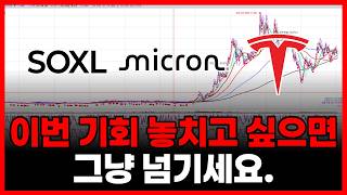 이번 기회 놓치고 싶으면 그냥 지나가셔도 됩니다. (SOXL 마이크론테크놀로지 엔비디아 테슬라 아이온큐 샌디스크