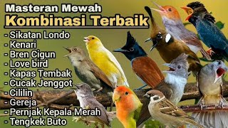 Download lagu MASTERAN FULL JAHAT‼️KOMBINASI TERBAIK, Paling Dicari Kicau Mania. mp3