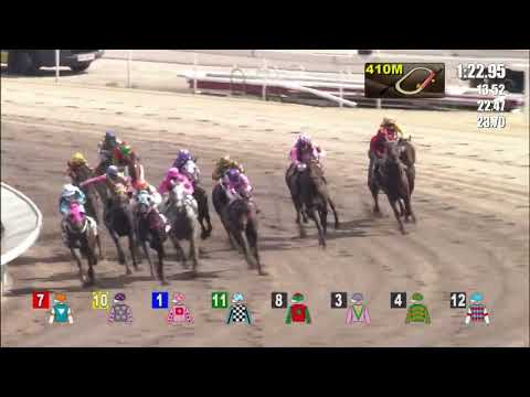 29/5/2022 (706) Romantic Combo - J Moreira