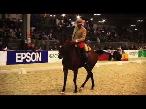 Doma Vaquera - Manuel Jesus Alconchel Munoz - Serengueti - Trofeo città di Milano