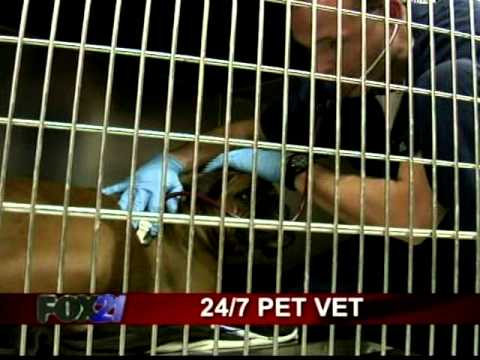 24-hour pet veterinarian