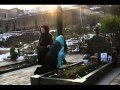 mamao chveno.wmv 