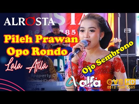 Ojo Sembrono LALA ATILA, ALROSTA DONGKREK, ALFA JILID 1 CAK KIRUN