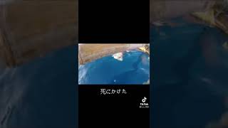 セブ島で乳揺れ