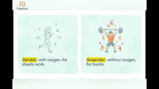GCSE PE: Long-Term Effects of Exercise | Cardiac Hypertrophy & Capillarisation