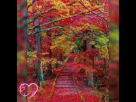 🎻balada para una despedida 🎼José Luis perales 🎻