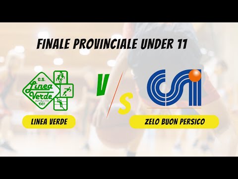 FINALE PROVINCIALE U11 - LINEA VERDE VS ZELO BUON PERSICO