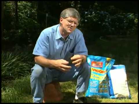 Preventing Poa Annua with Walter Reeves