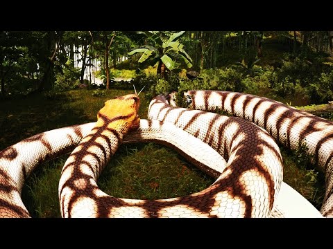 The 20,000lbs Titanoboa Survival Experience..