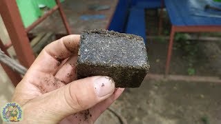 Как ловить карпа на жмых кубики