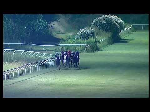 Napoli Galoppo 14/08/2021 - 6ª corsa