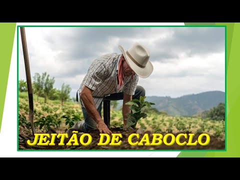 Jeitão De Caboclo video