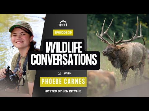 Ep 39: Phoebe Carnes Bridges Science & Photography to Share the Magic of  the Smokies & Our Parks