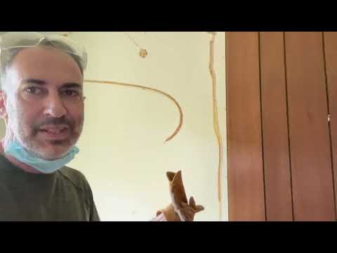 How to remove wall paneling .  In whole board sections