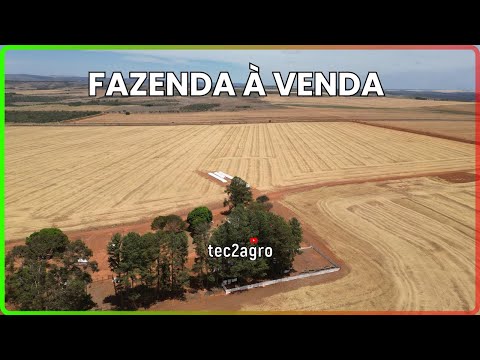🌱 119 ALQUEIRES SÃO JOÃO D'ALIANÇA - FAZENDA À VENDA EM GOIÁS [🌱DUPLA APTIDÃO] #fazenda #tec2agro