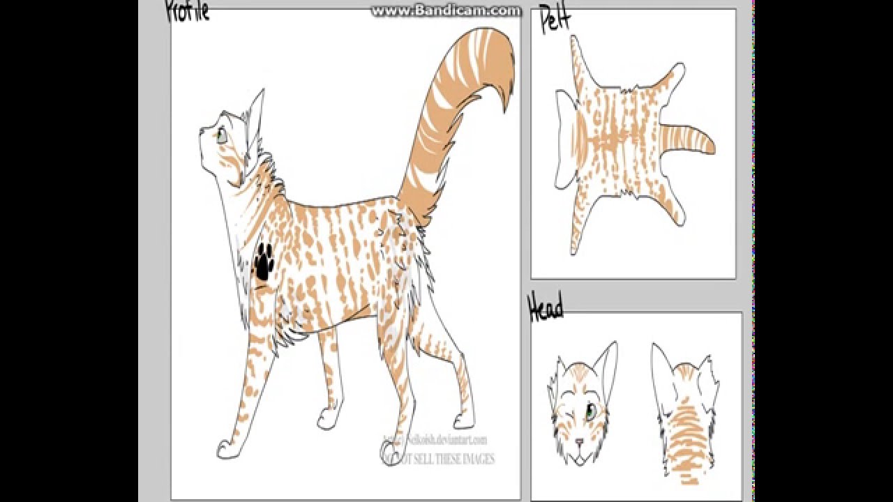 Warrior Cat Maker Deviant art: Brightheart A.K.A Lostface