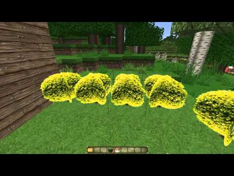 Download Mc Reallife Mod 1710 3gp Mp4 Codedfilm Download Mc Reallife Mod 1710 3gp Mp4 Codedfilm