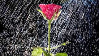 Gotas De Lluvia Lyrics English Translation