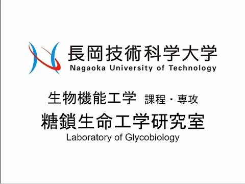 長岡技術科学大学　糖鎖生命工学研究室