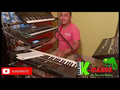 el camaleón de los teclados - mueve tu puchero en vivo dese casa