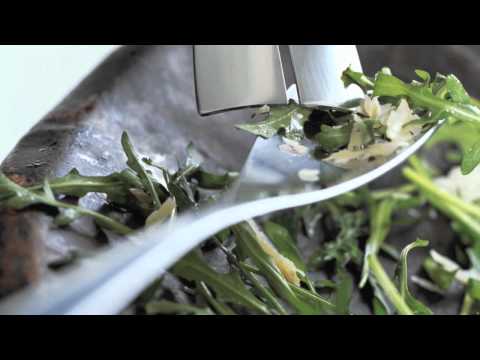 download lagu mp3 mp4 Carl Mertens Shaker, download lagu Carl Mertens Shaker gratis, unduh video klip Carl Mertens Shaker