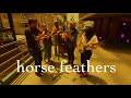 horse feathers - curs in the weeds & rude to rile (smallsongs)
