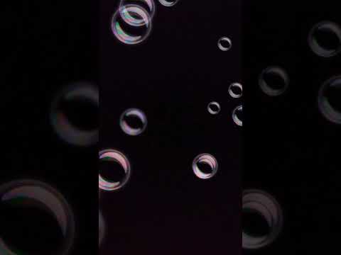 Sinti musik l.h dreaming von rudi wagner