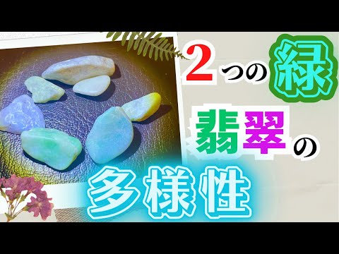 園芸 トライデント パーム