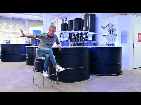 Modern Koi Blog #4837 - Which classification is recommended for multi-chamber filters?