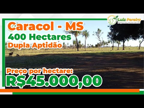 Área com dupla aptidão, excelente para lavoura em Caracol-MS 400 hectares argila de 25% à 40%