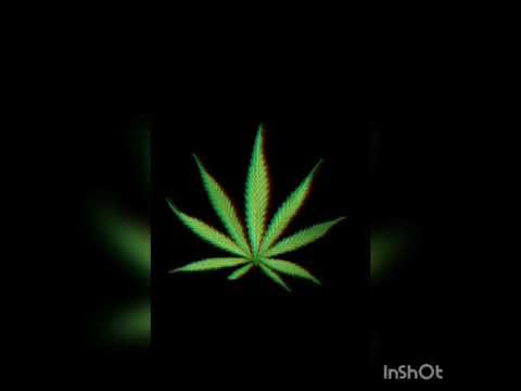 19 января 2020 г.