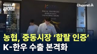 농협, 중동시장 ‘할랄 인증’  K-한우 수출 본격화 / 채널A / 뉴스A 라이브
