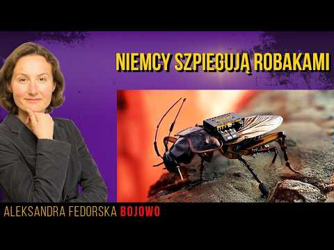 Armia karaluchów,  dziadki do Bundeswehry i gdzie są niemieccy saperzy