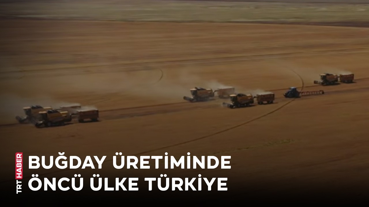 Türkiye, buğdayda stratejik gücünü artırıyor