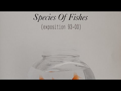 Species Of Fishes – Exposition 93-00