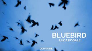 Luca Fogale - Bluebird [LEGENDADO PT-BR]