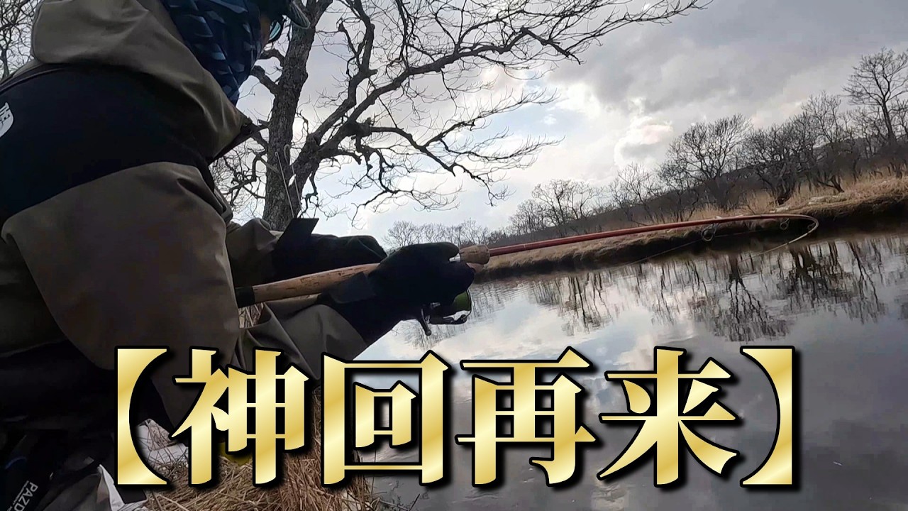 【神回再来】夢のような最高のビックゲーム！60㎝70㎝が次々と釣れる‼