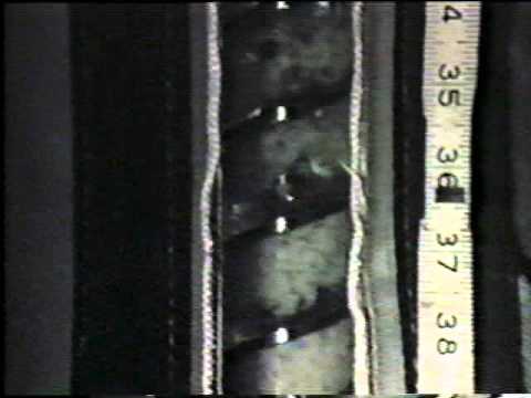 Thumbnail photo for video titled, Polymer Melting in a Single Screw Extruder