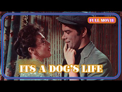 Its A Dog's Life | English Full Movie | Comedy Drama