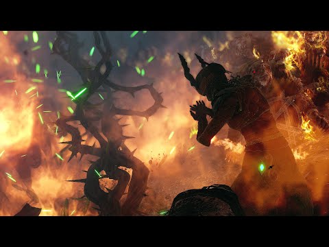 Sister of the Thorn Repel Cata True Solo — Vermintide 2