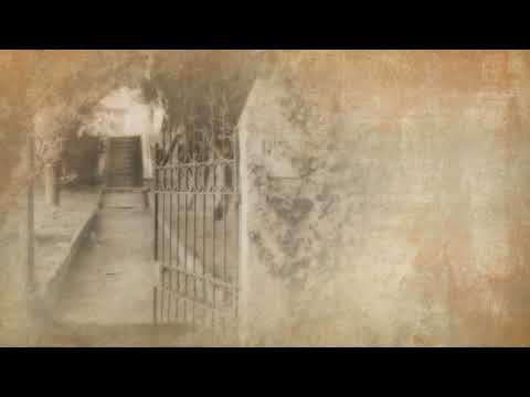 Gordana Jovanović i NO Žarka Milanovića   Vračarica